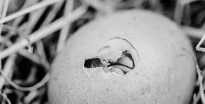 雅居乐·黄埔创新中心|售楼处【知行设计 1080】-30