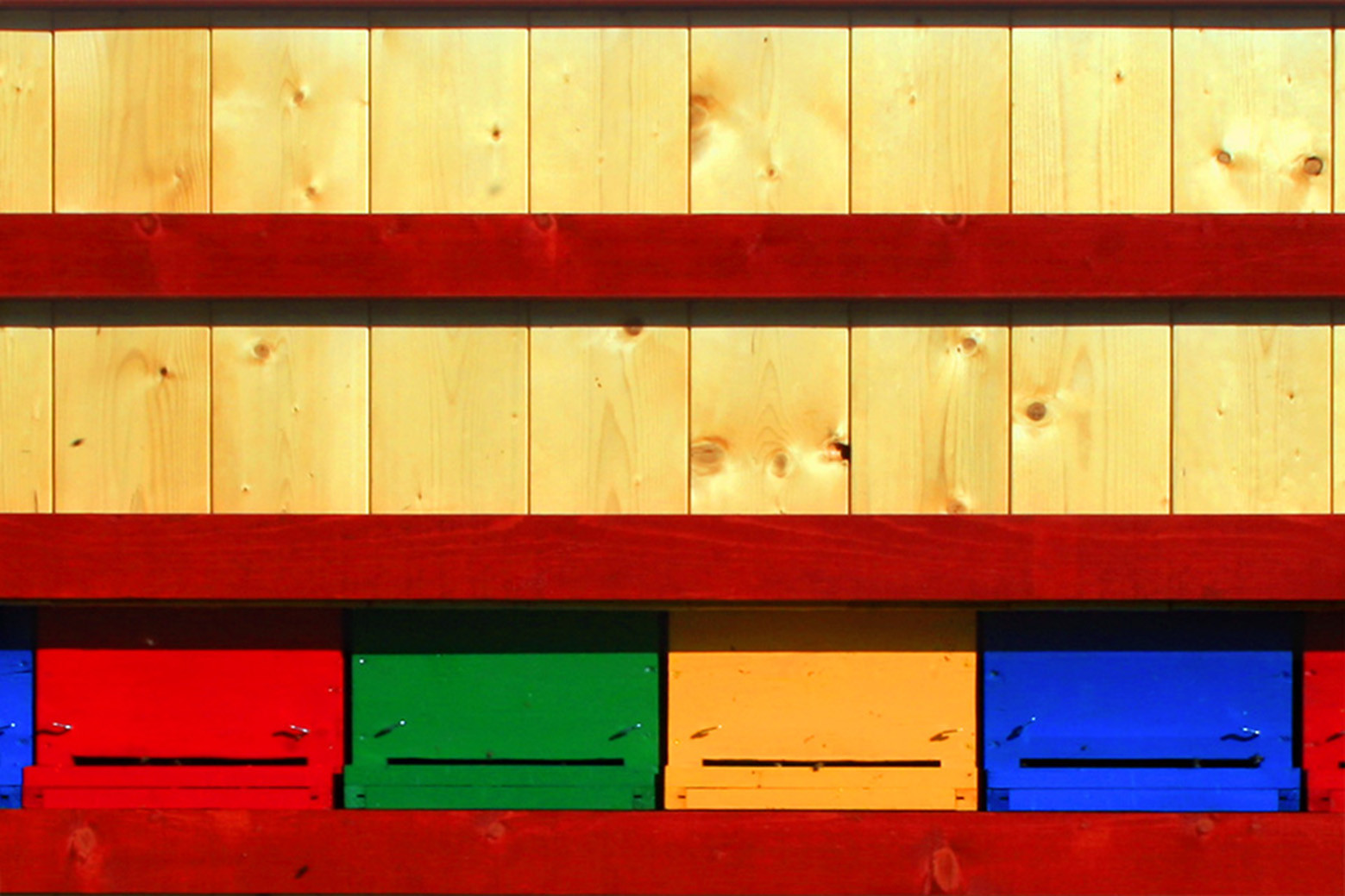 “Binnenhaus”蜜蜂蜂巢设计-9