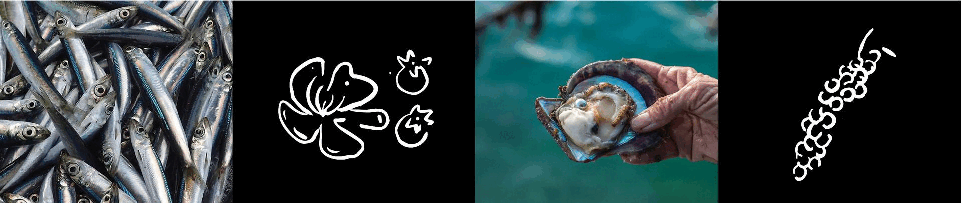 All Day Dining | Zannier Resort Phu Quoc Island-13