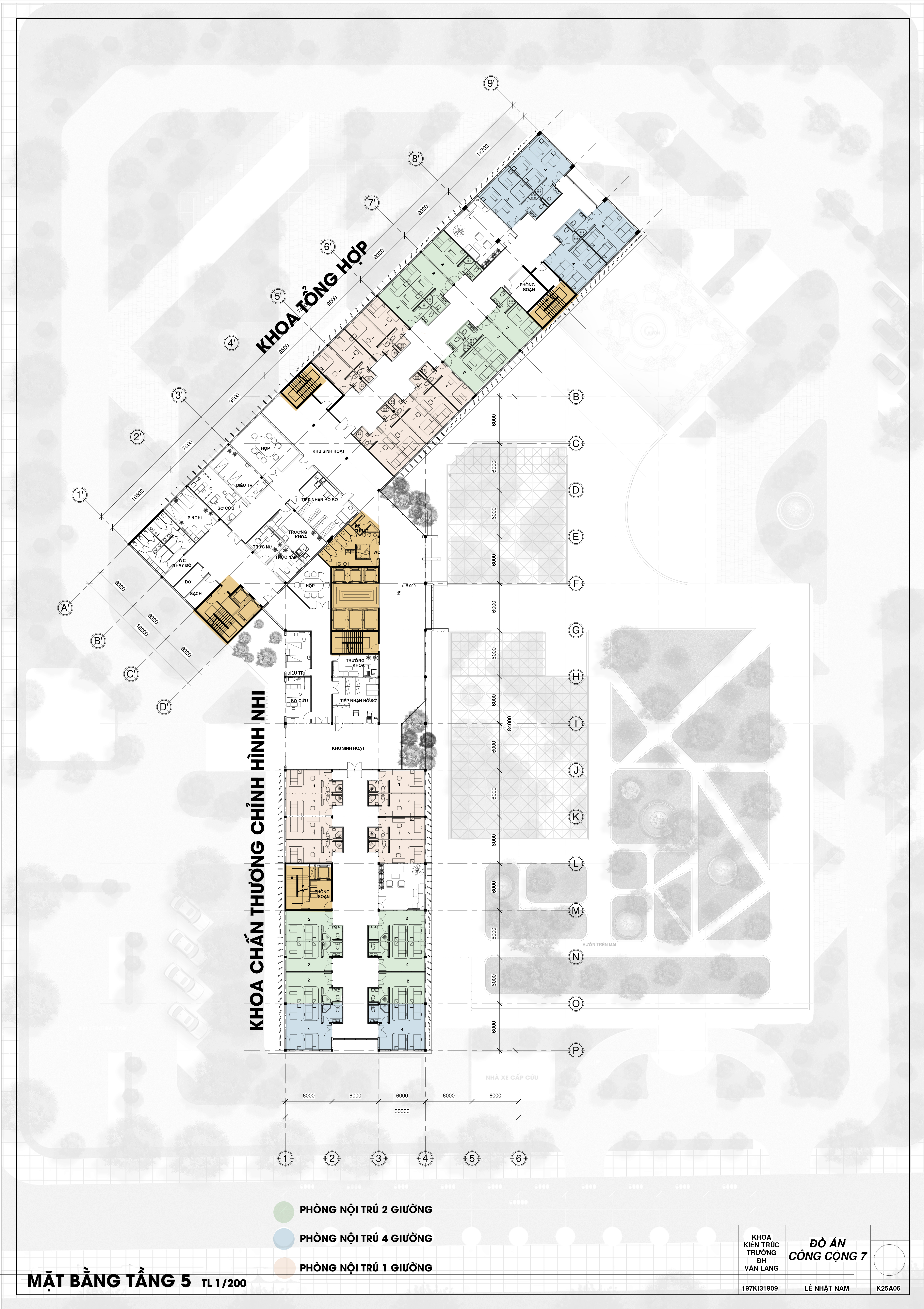 Hospital Project: Bệnh viện chấn thương chỉnh hình-6