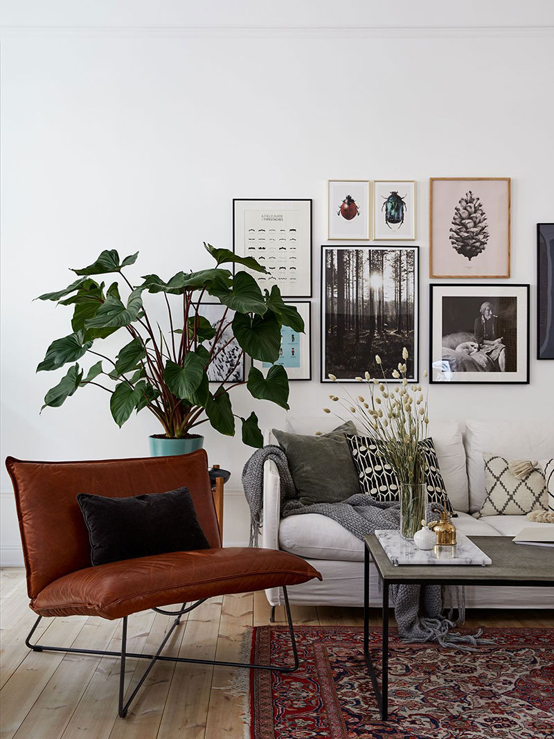 斯德哥尔摩黑白公寓，绿植细节打造舒适空间-10