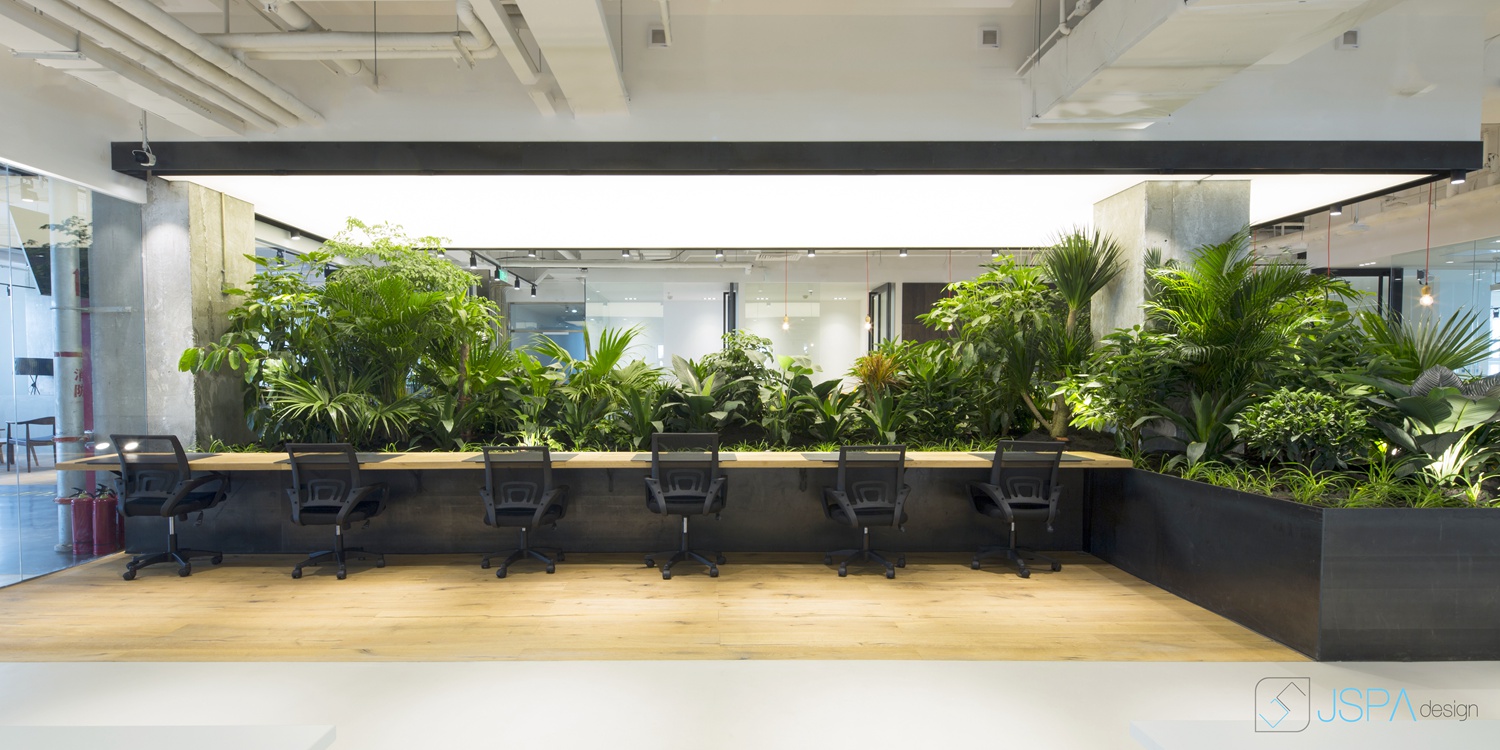 望京,南山,北新桥,金华-9