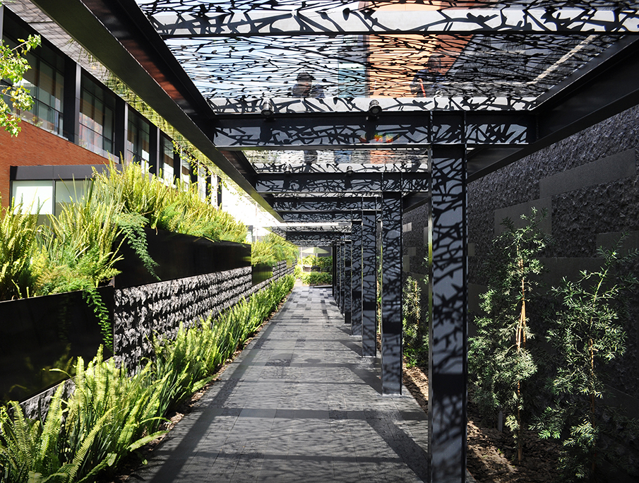 Coyoacán公司校园-21