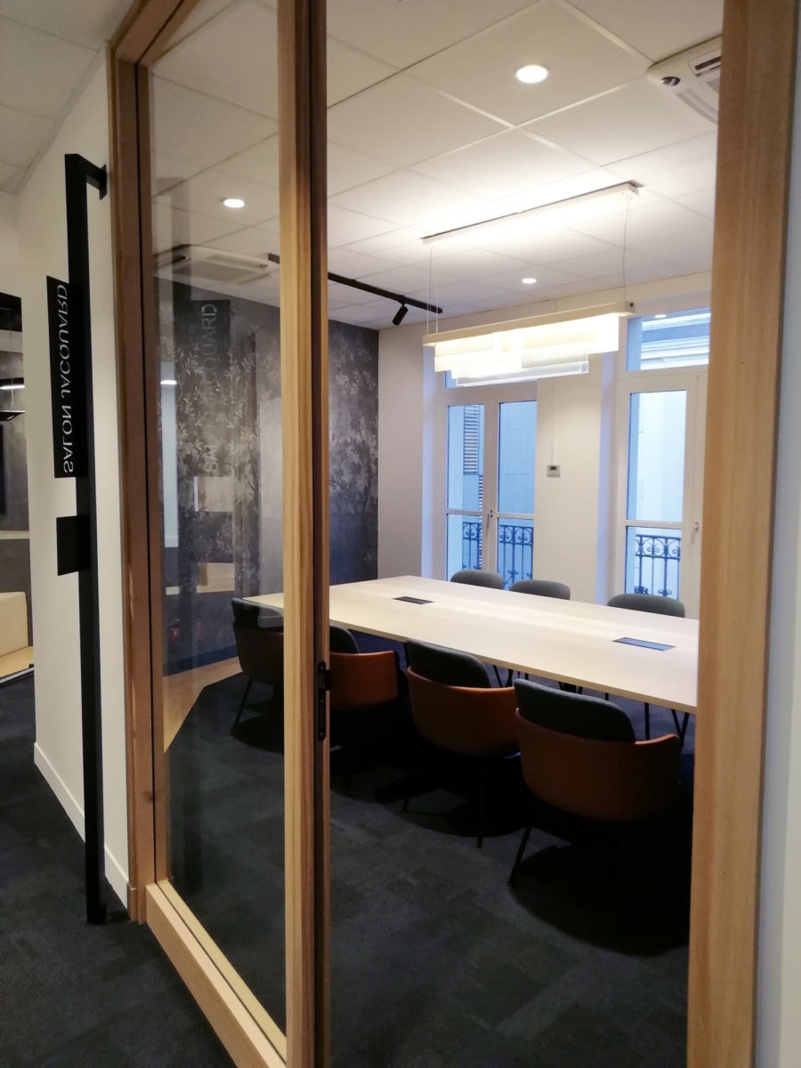 法国里昂 Cyrus Conseil 投资公司办公室 - 穿越 Lyon 的历史遗产-13