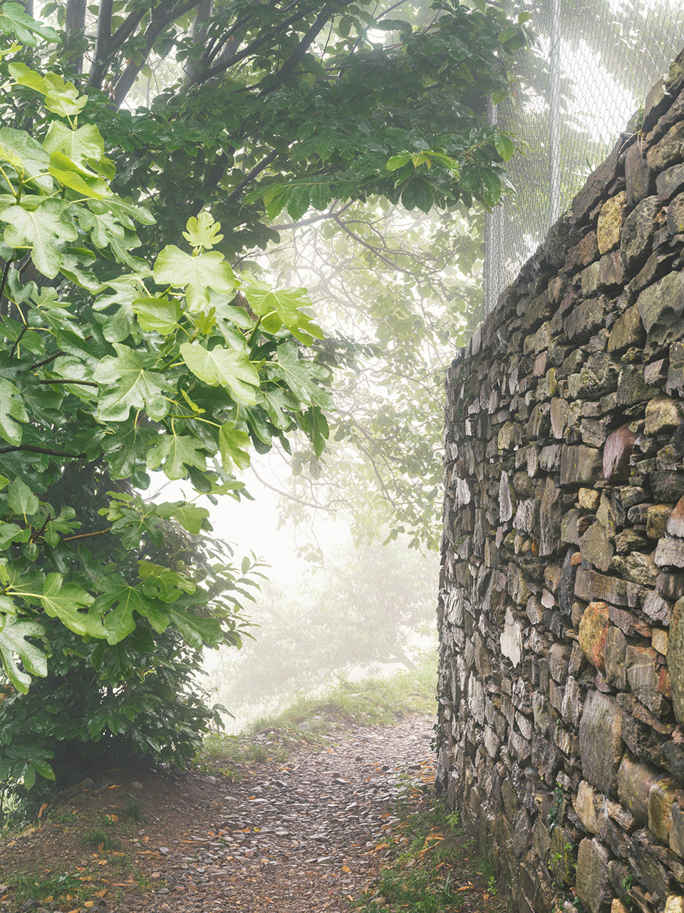 Le Stalle住宅丨意大利丨Pedro&Juana-79