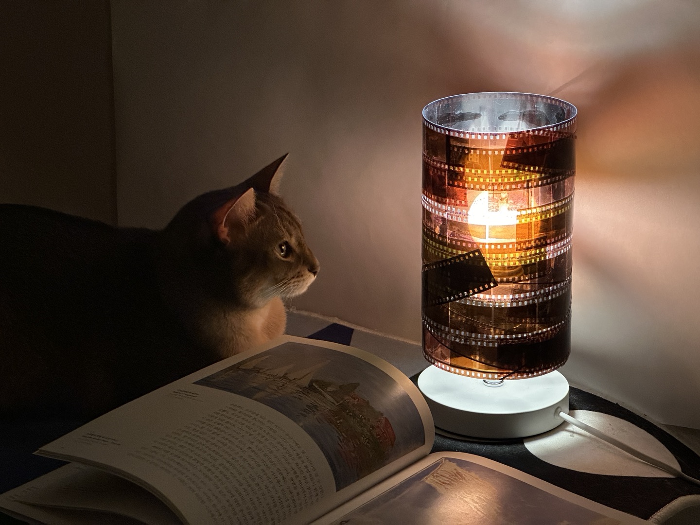 点亮我；点燃我（具体意思需结合语境确定，这里按常见理解给出） -9