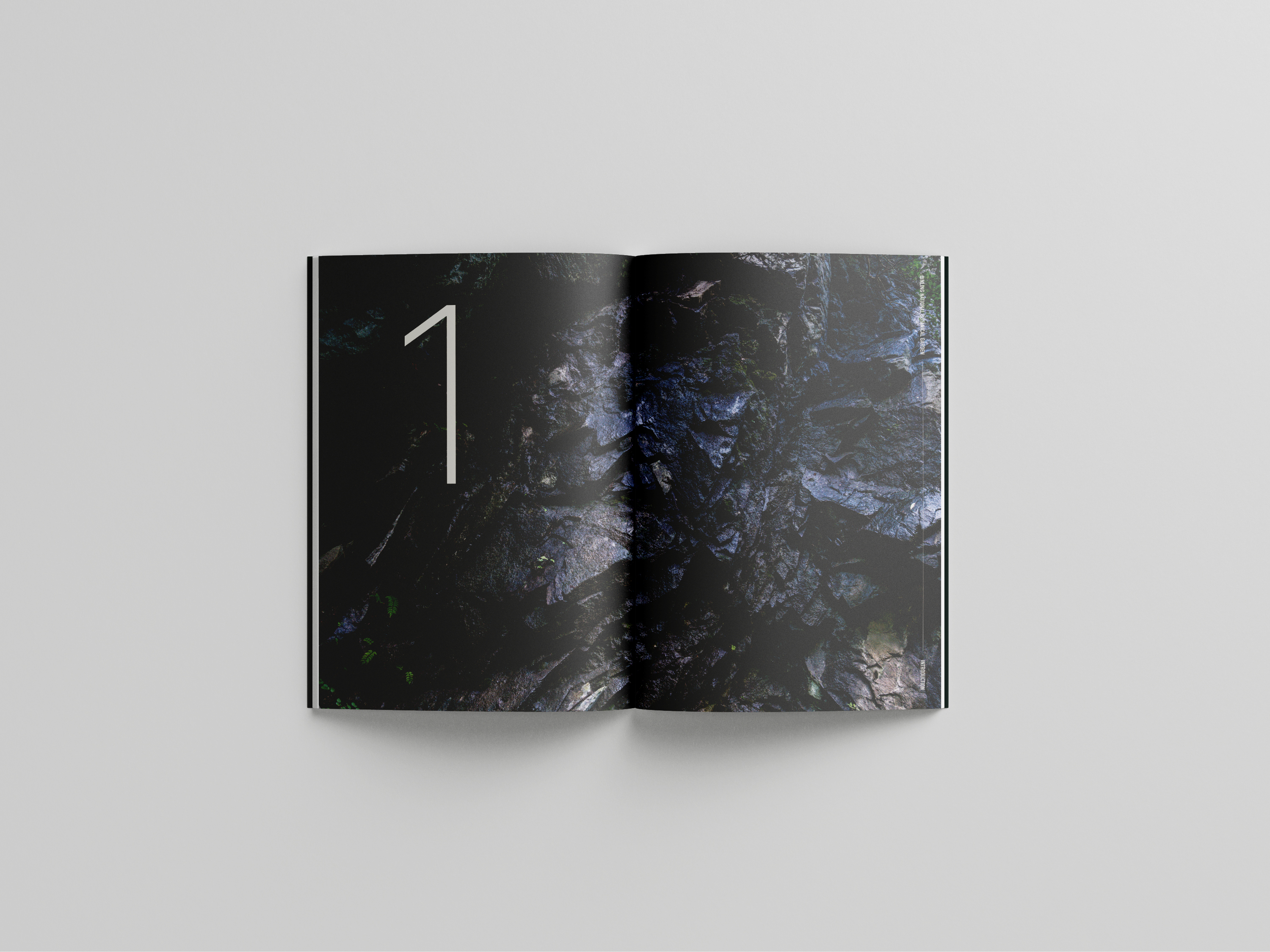 秦岭国家植物园摄影及宣传册设计丨美格锐西安办公室-8