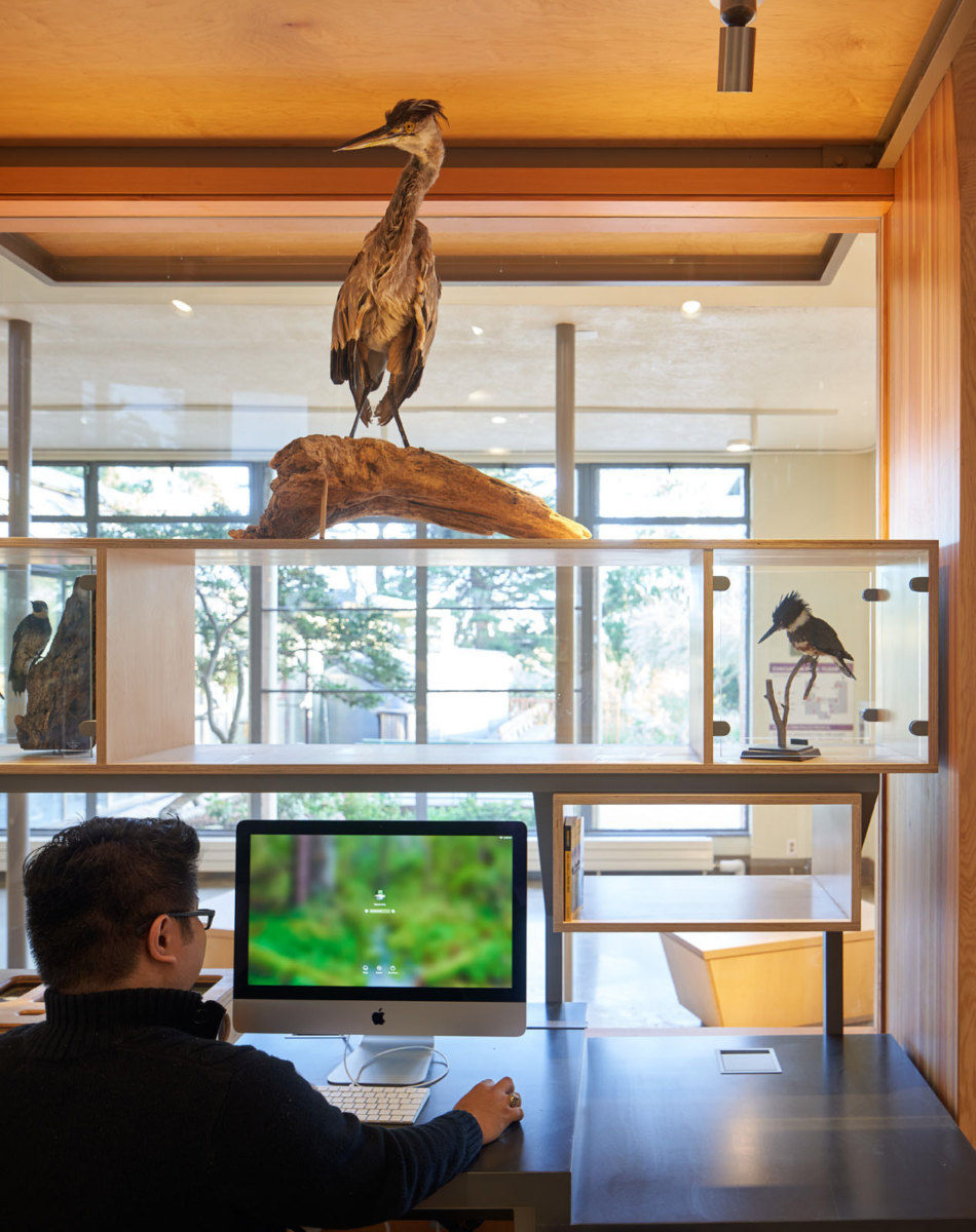 旧金山 Randall 博物馆翻新升级,绿色环保互动体验-14