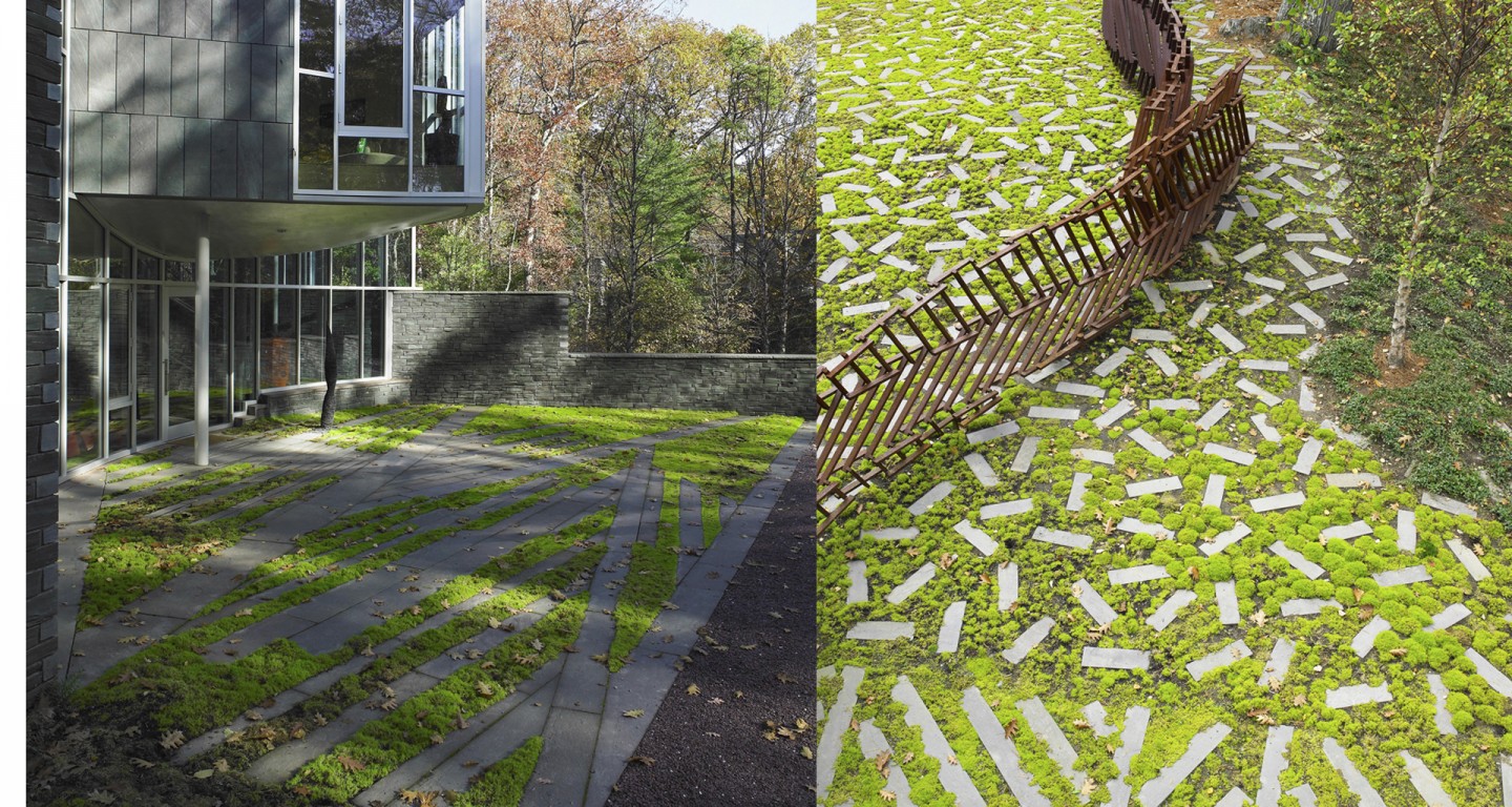 Farrar Pond 森林住所景观丨意大利马萨-10