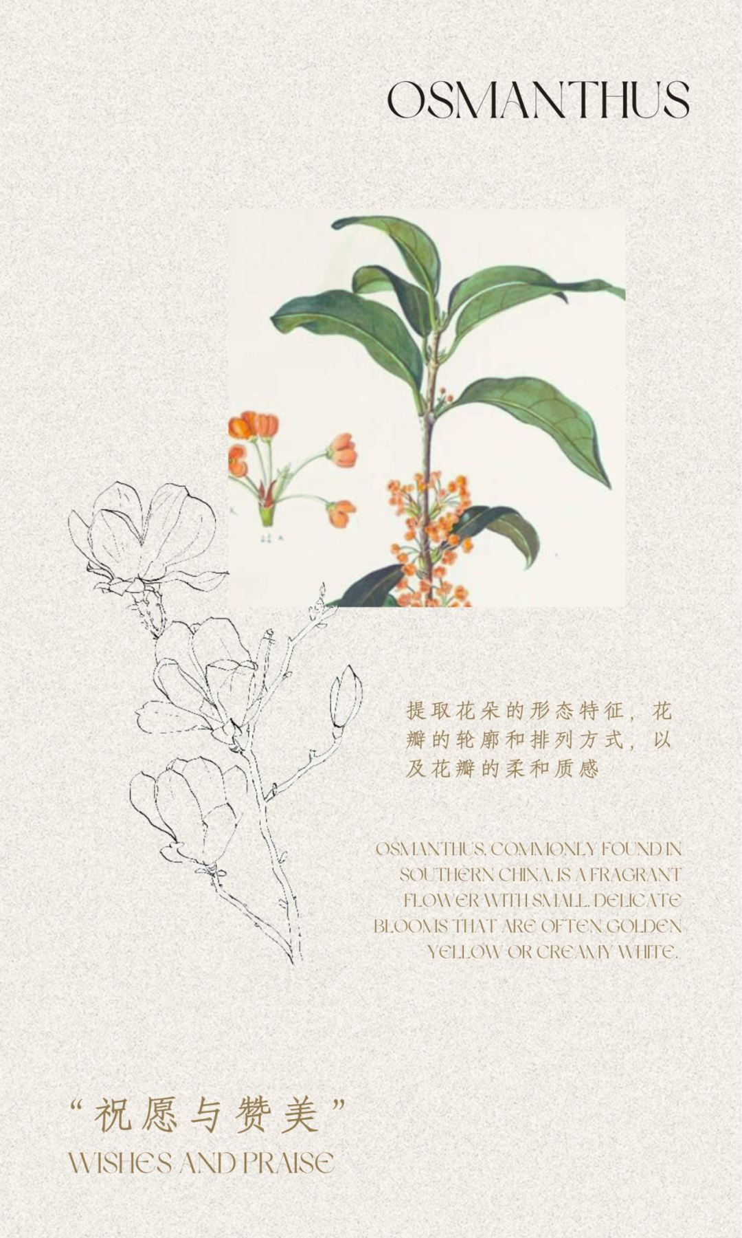 西安绿城·桂月云翠售楼处&会所丨中国西安丨SWS Group-8