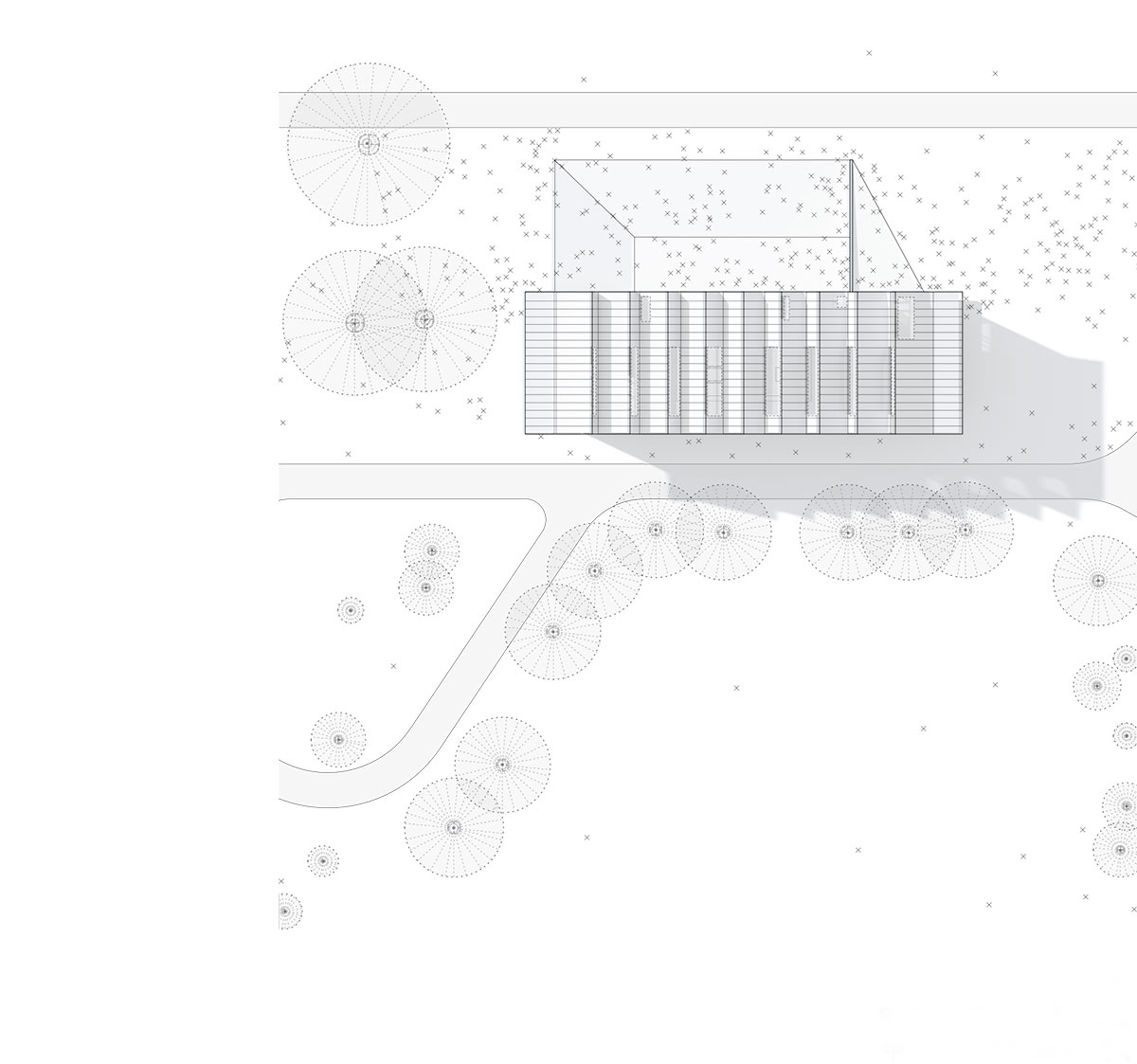 加州锯齿形屋顶的 Hendee·Borg 住宅-26