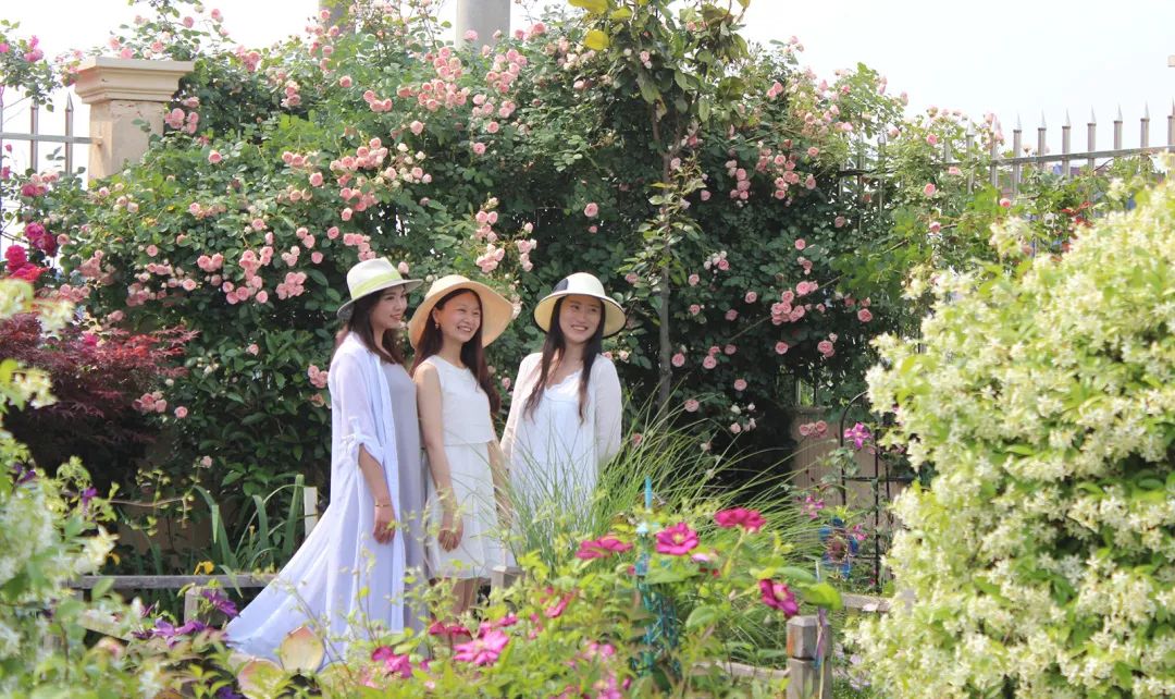 78岁爷爷改造荒废院子，为孙女建起一座花园-153