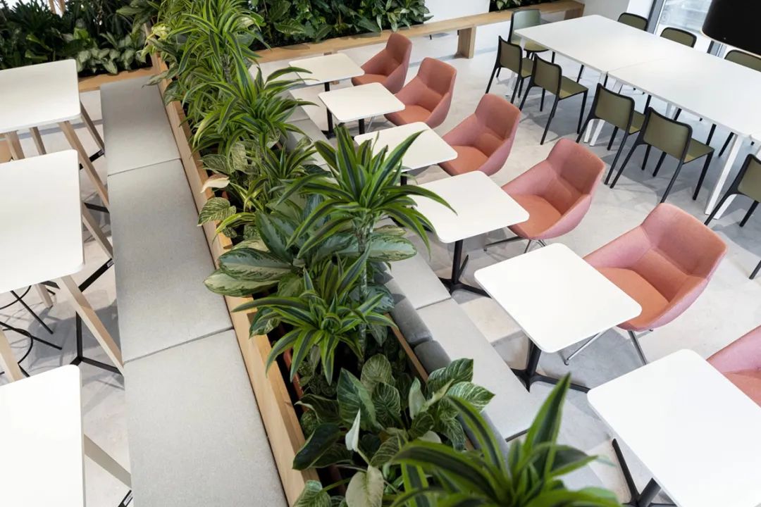 保加利亚索菲亚制药公司办公室设计丨DA architects,Ricardo Alves-35