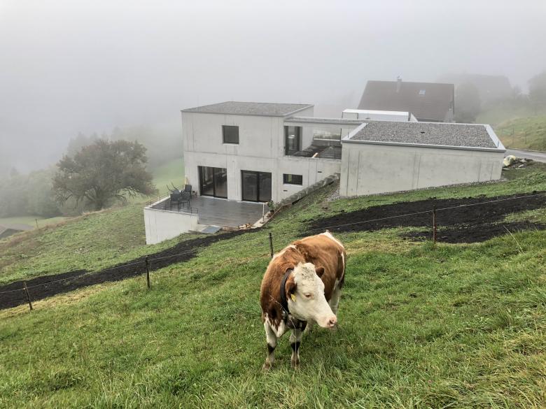 Architekten Wimmer-Armellini丨Haus C in Dafins丨奥地利-15