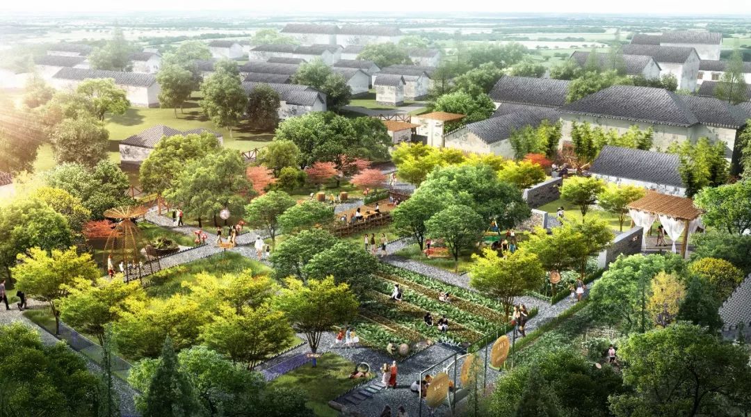 港西乡村公园生态基础设施建设与提升项目-16