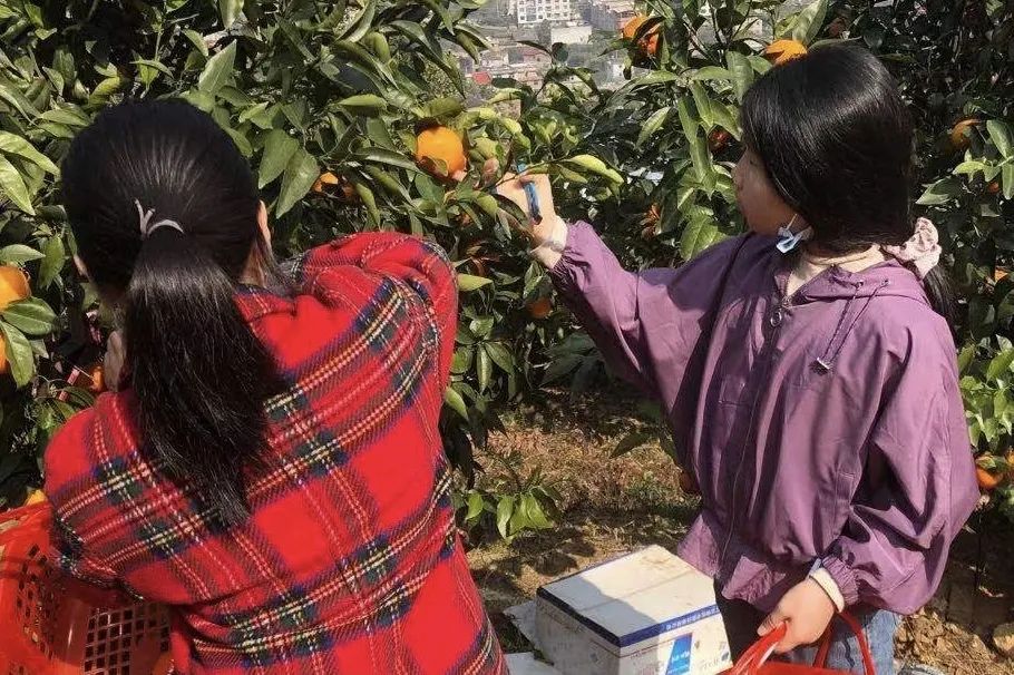 泉州华浔永春仙岭采风之旅丨中国泉州丨华浔品味装饰-22