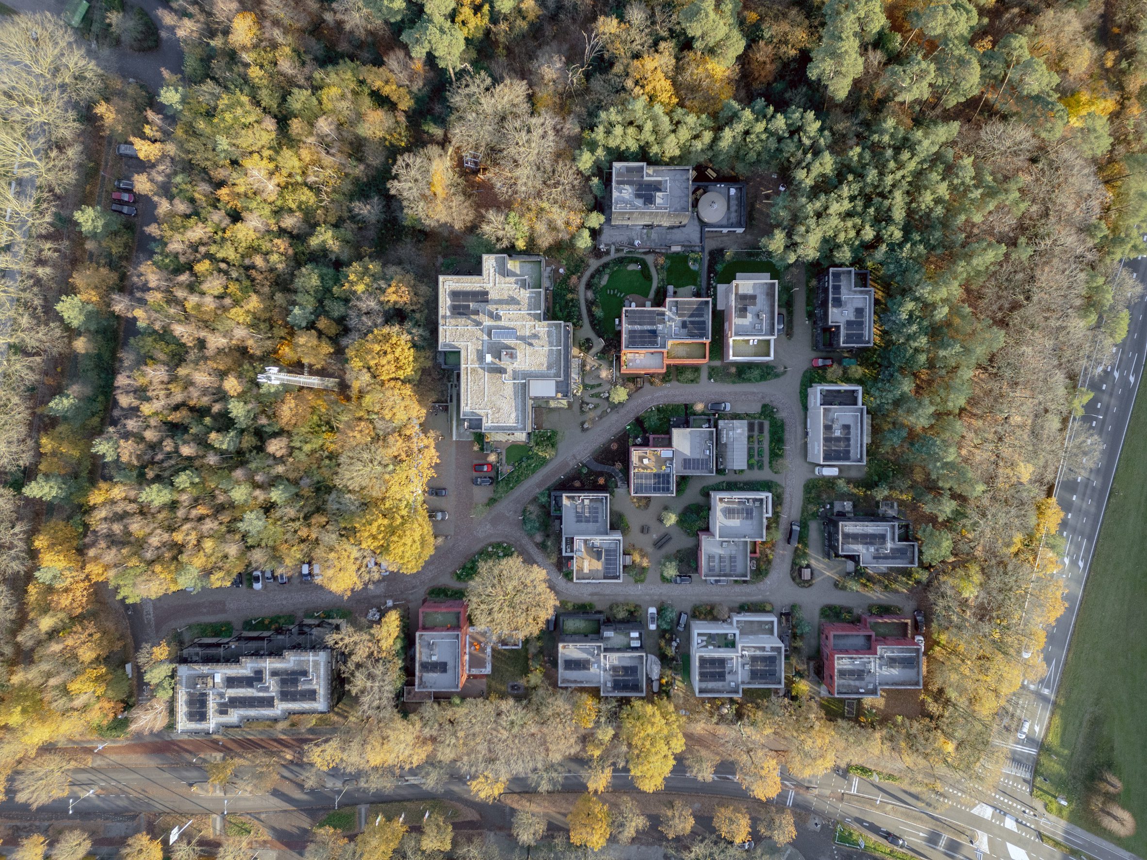 常见木材丨荷兰阿默斯福特丨荷兰Space&Matter工作室-4