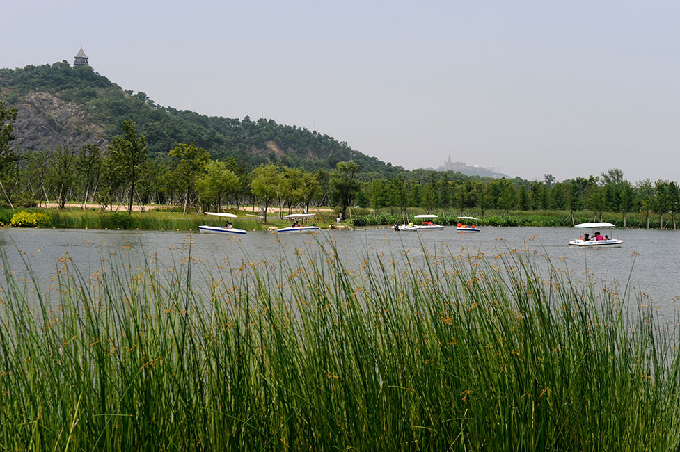 上海辰山植物园-31