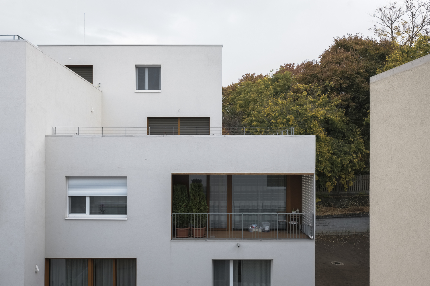 布达佩斯郊区别墅-12