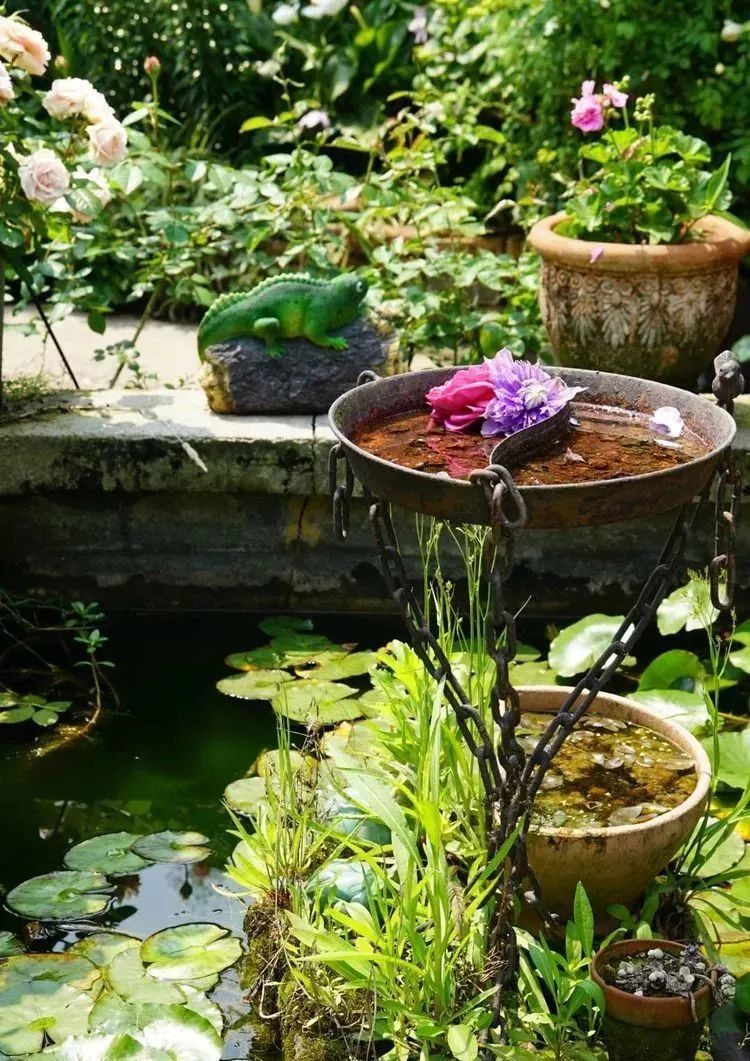 她花了4年，用月季，铁线莲，绣球把农村破败的小院打造成了花海，惊艳了时光-94