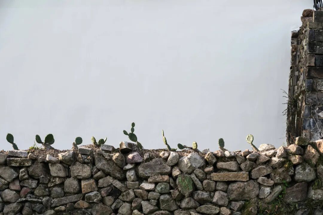 門觉新作|江溪村田间书屋-临海-32