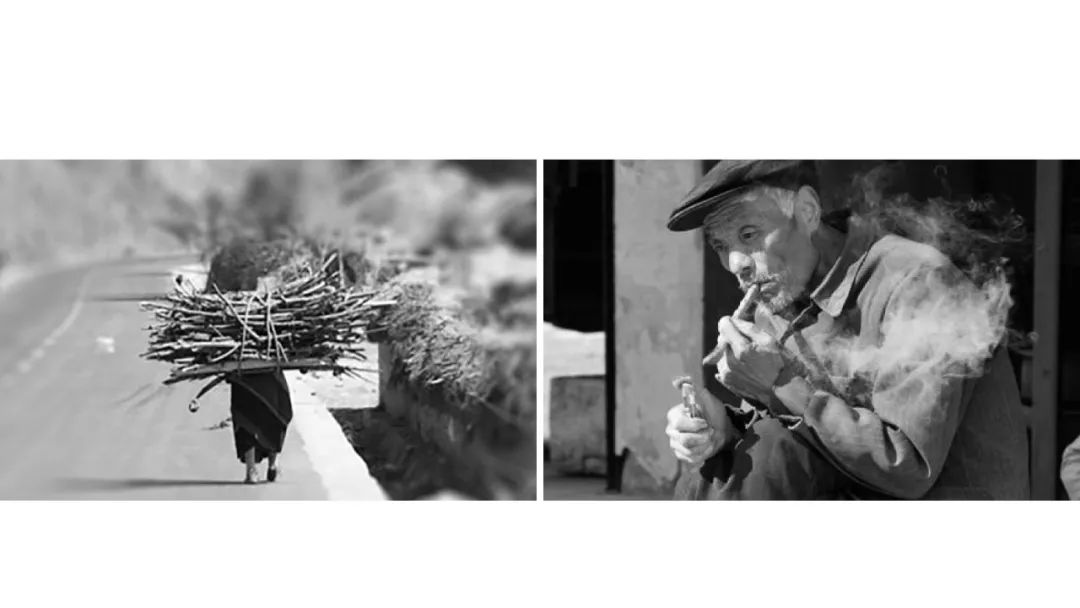 《青榭竹里》 | 即兴创作实践,重拾建筑温度-41