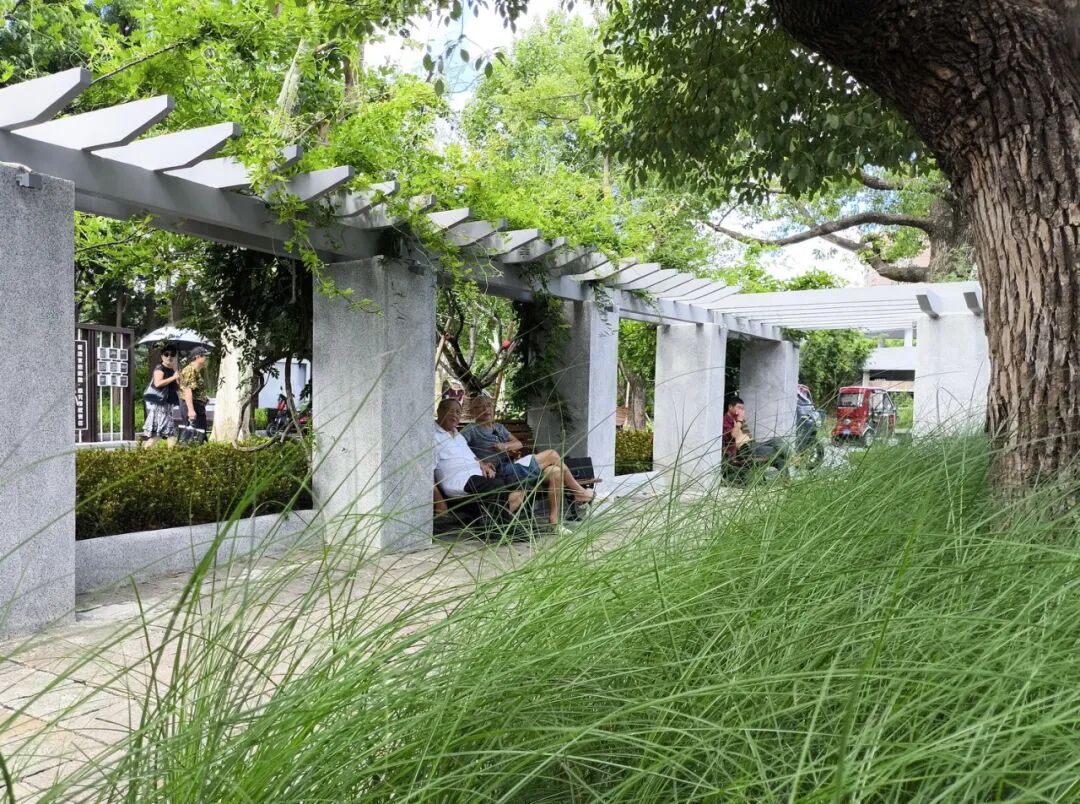 中国园林·理事专栏|“拓”之力量:杨浦公园改造纪实(三)-287