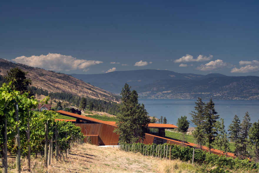 Olson Kundig embeds gravity-flow winery into British Columbia hillside-2