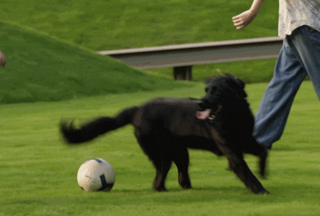 杭州自然美景工作室丨中国杭州丨余伟增,柴荣-139