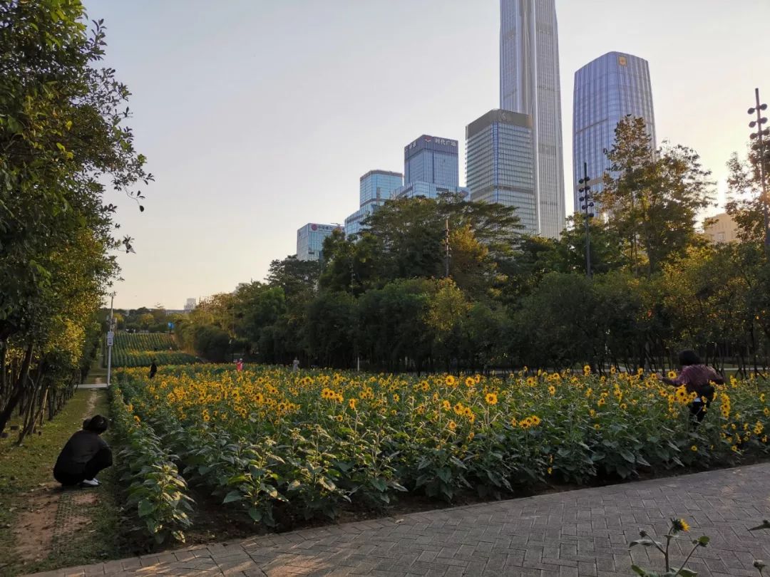 SED 新西林成都、新疆分公司 2019 年终团建活动纪实-154