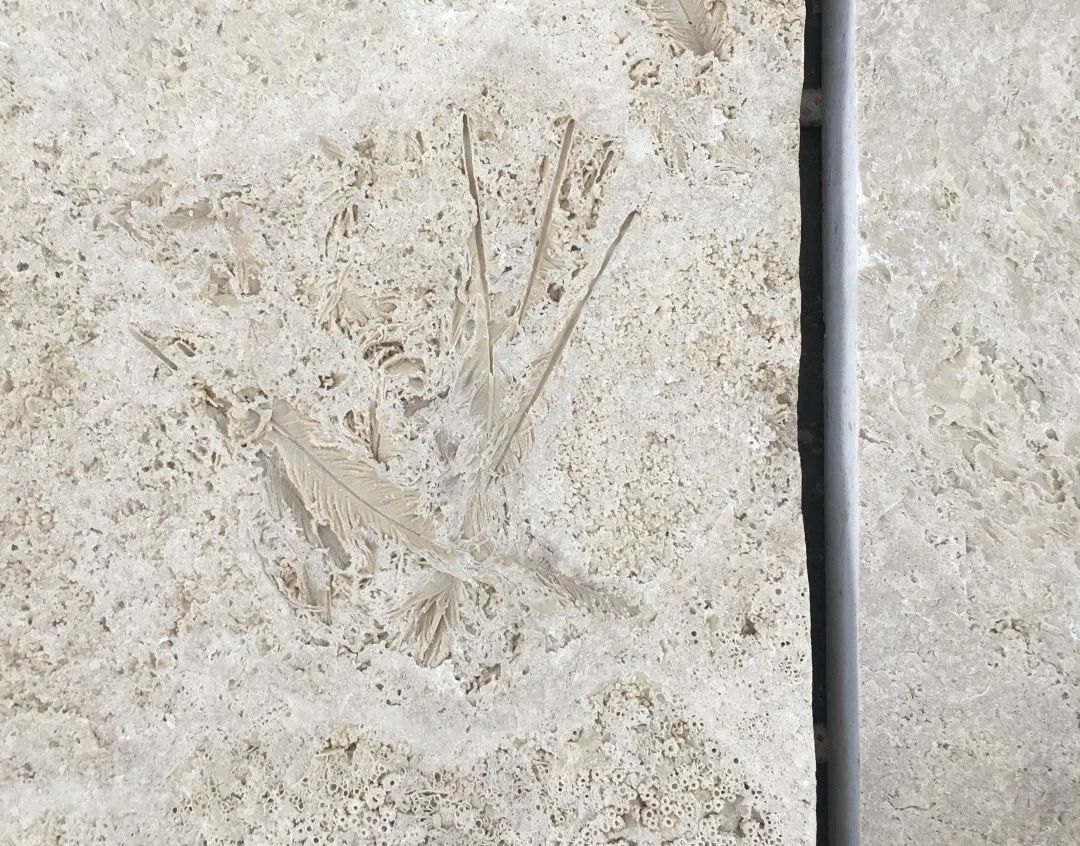 纽约哈德逊广场 30 号办公大楼丨美国纽约丨KPF-13