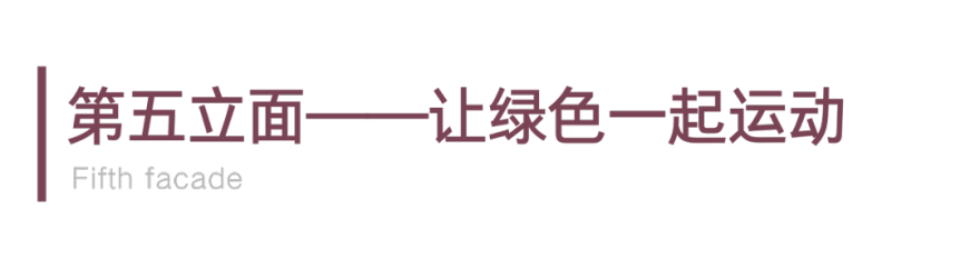 西湖体育馆复建项目丨中国杭州丨中国美术学院风景建筑设计研究总院有限公司 第四综合设计研究院-27