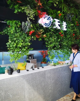 农业园区餐厅 VIP 包房设计 | 自然与典雅的碰撞