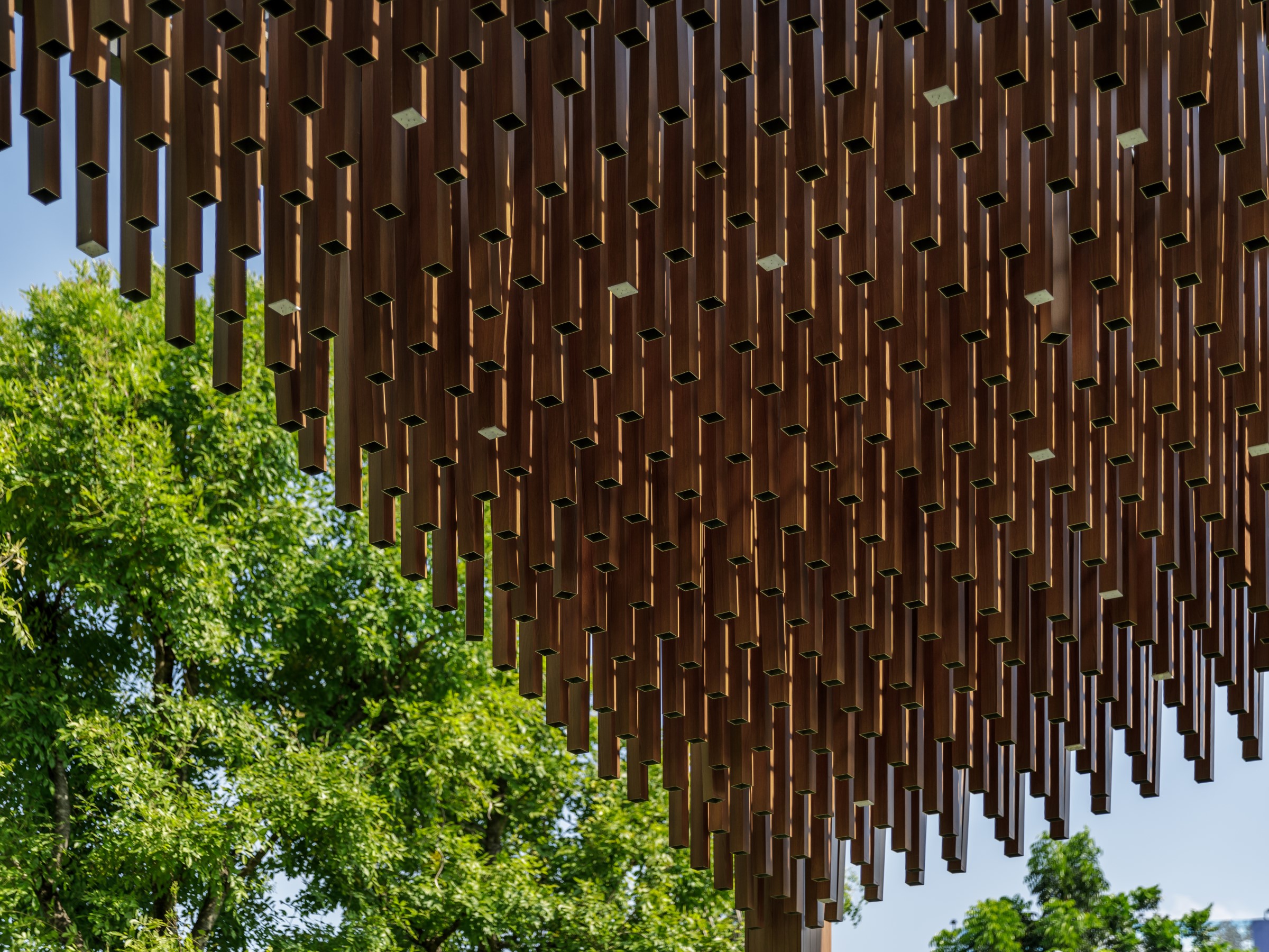 班·伊萨拉·邦纳-15