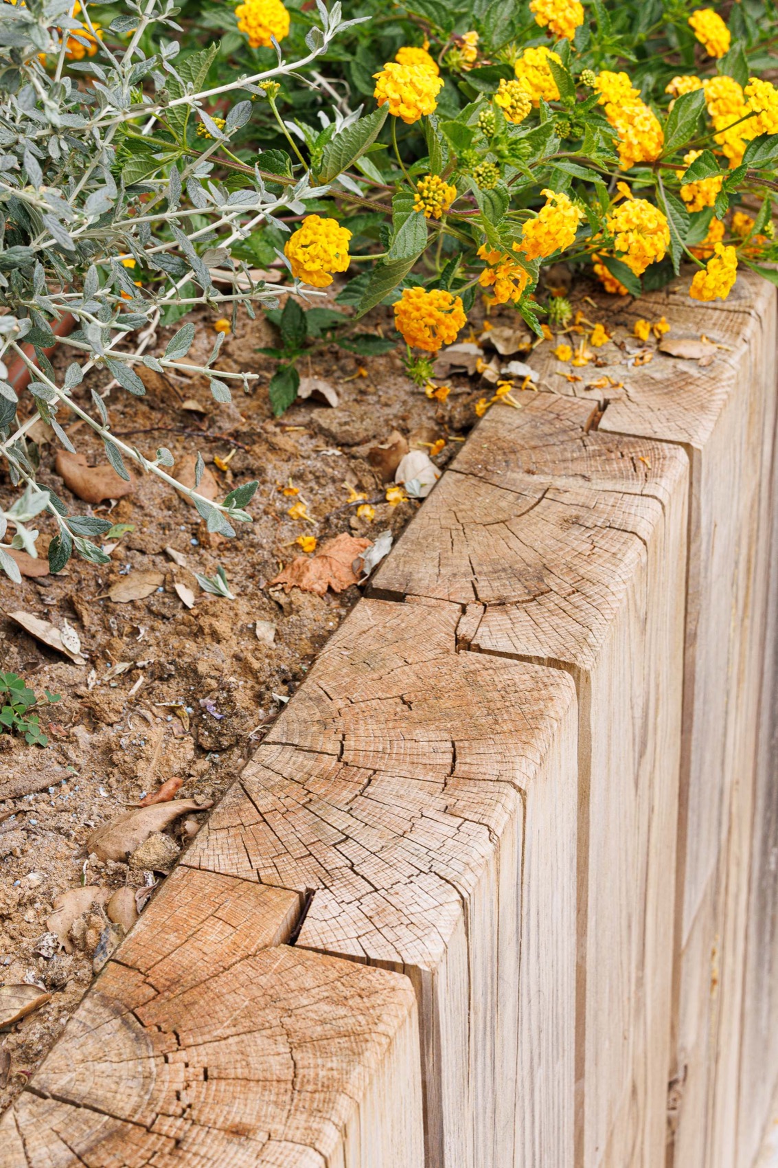 CC住宅 – Quinta dos Carvalhos丨葡萄牙丨Inception Architects Studio-160