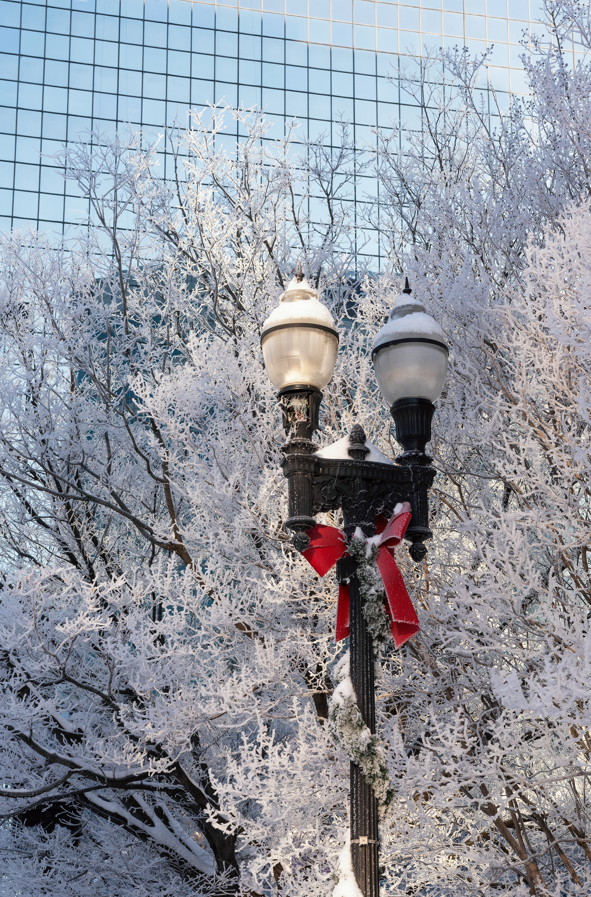 Knoxville, TN (USA).-67