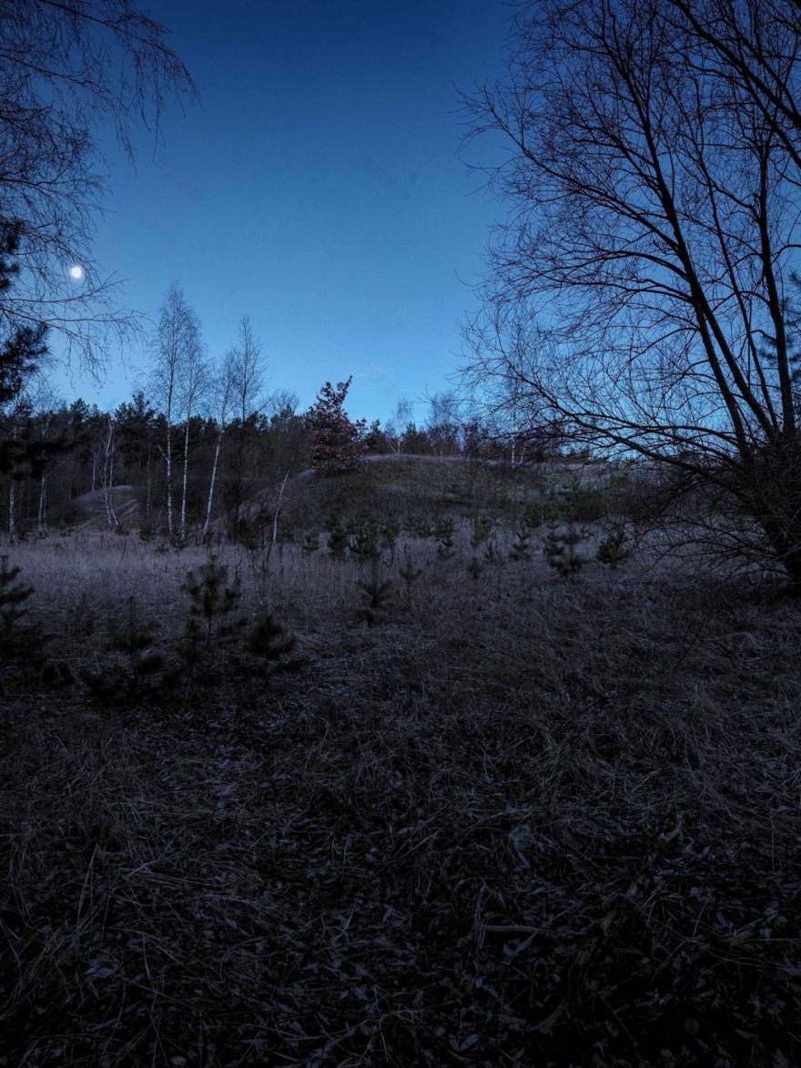 柏林森林中的人工沙丘丨德国柏林丨Gruppe F-15