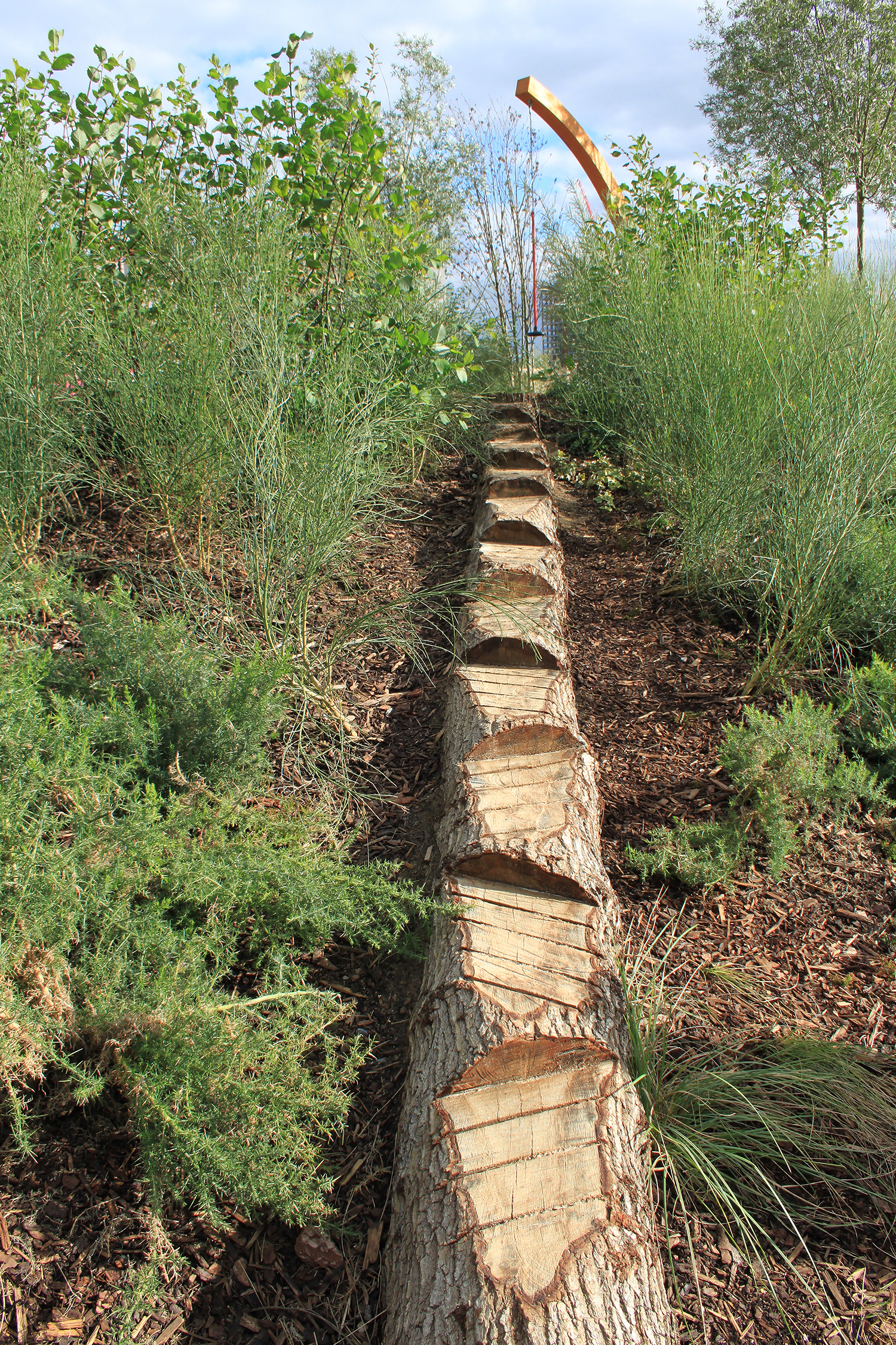 伦敦奥运遗址再生之作 · 儿童乐园的生态与创意设计-28