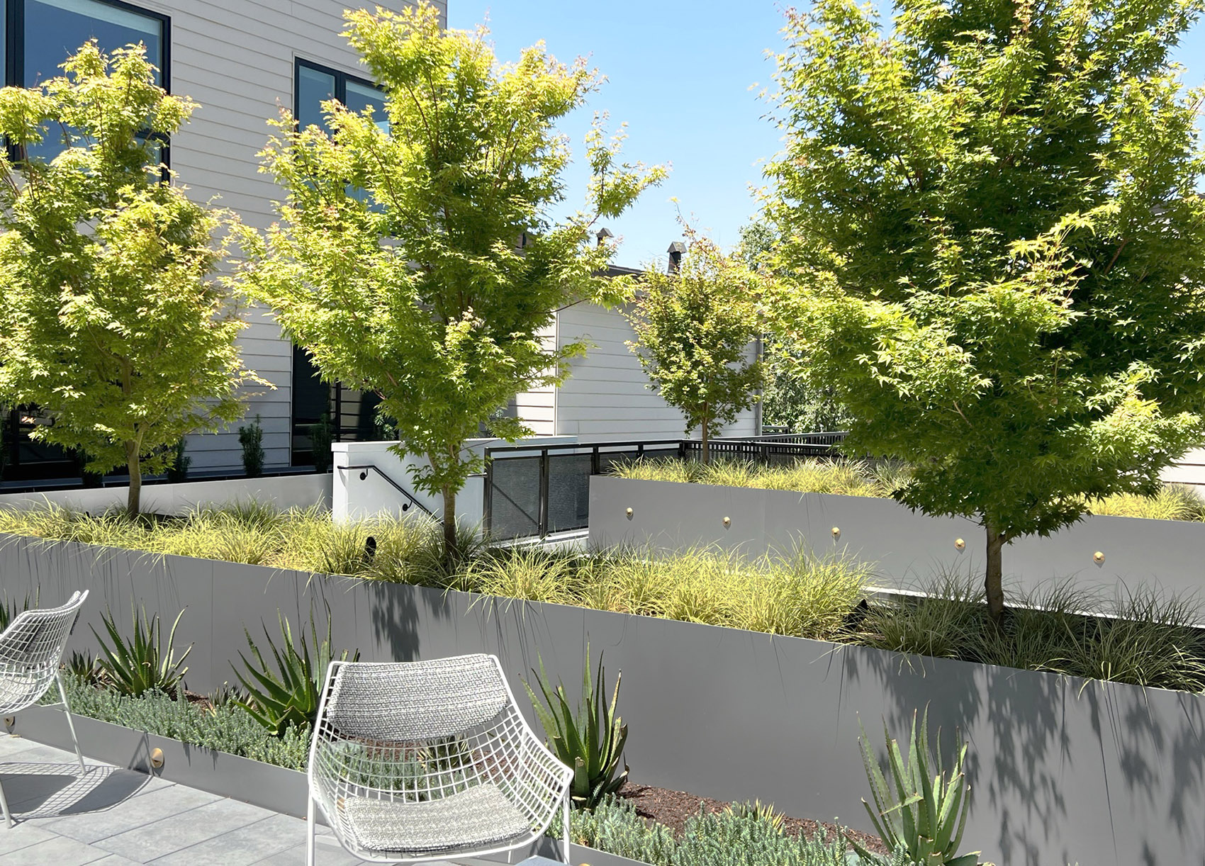 美国 Danny’s 餐厅上空的花园丨美国加利福尼亚丨Spiegel Aihara Workshop (SAW)-12