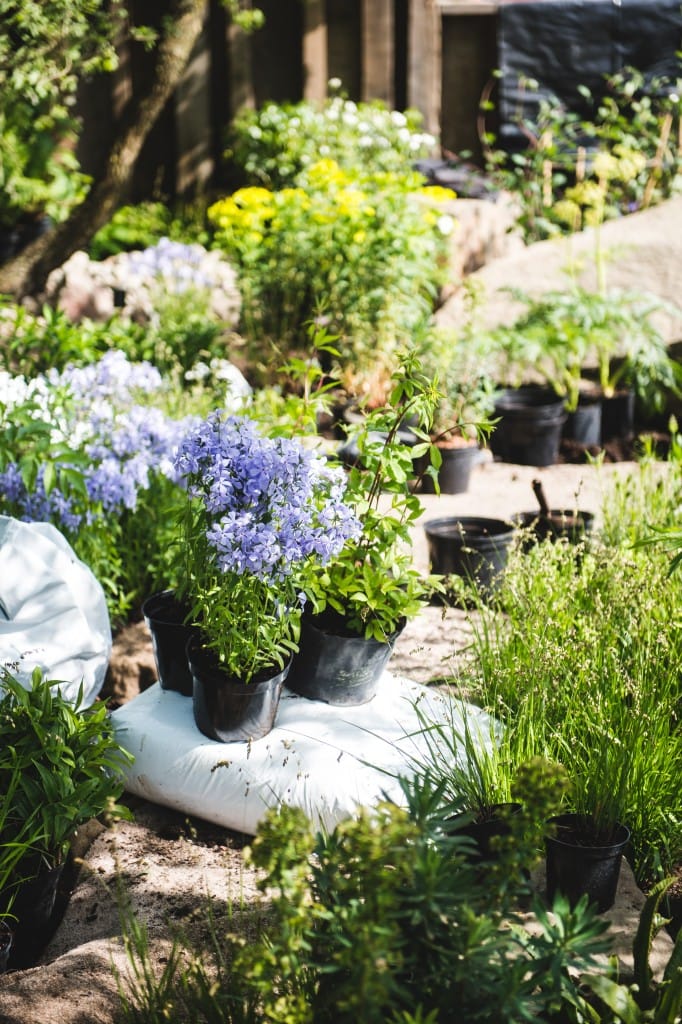 橡树林的回忆 | Cleve West 的 M&G 花园-25