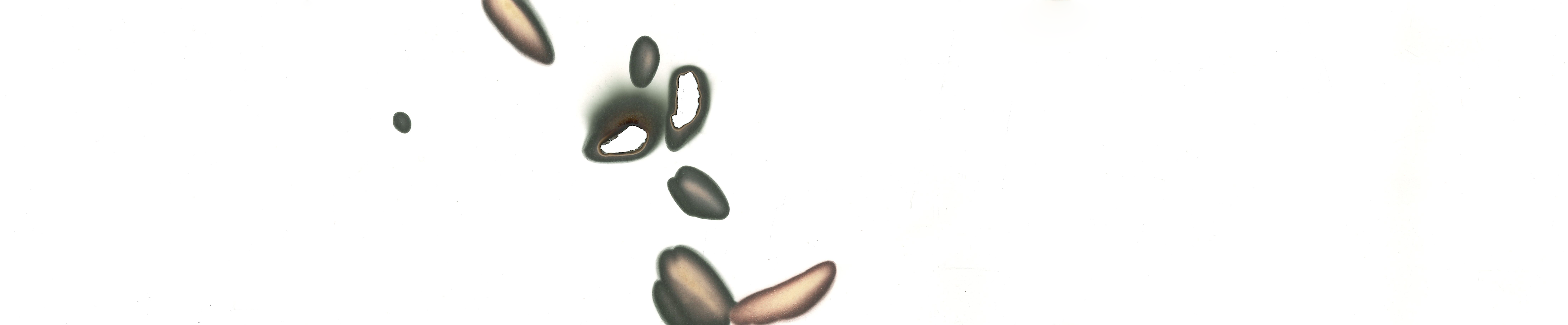 生成式绘画作品-10