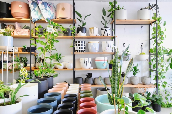 Hass & Co Botanics 店-21