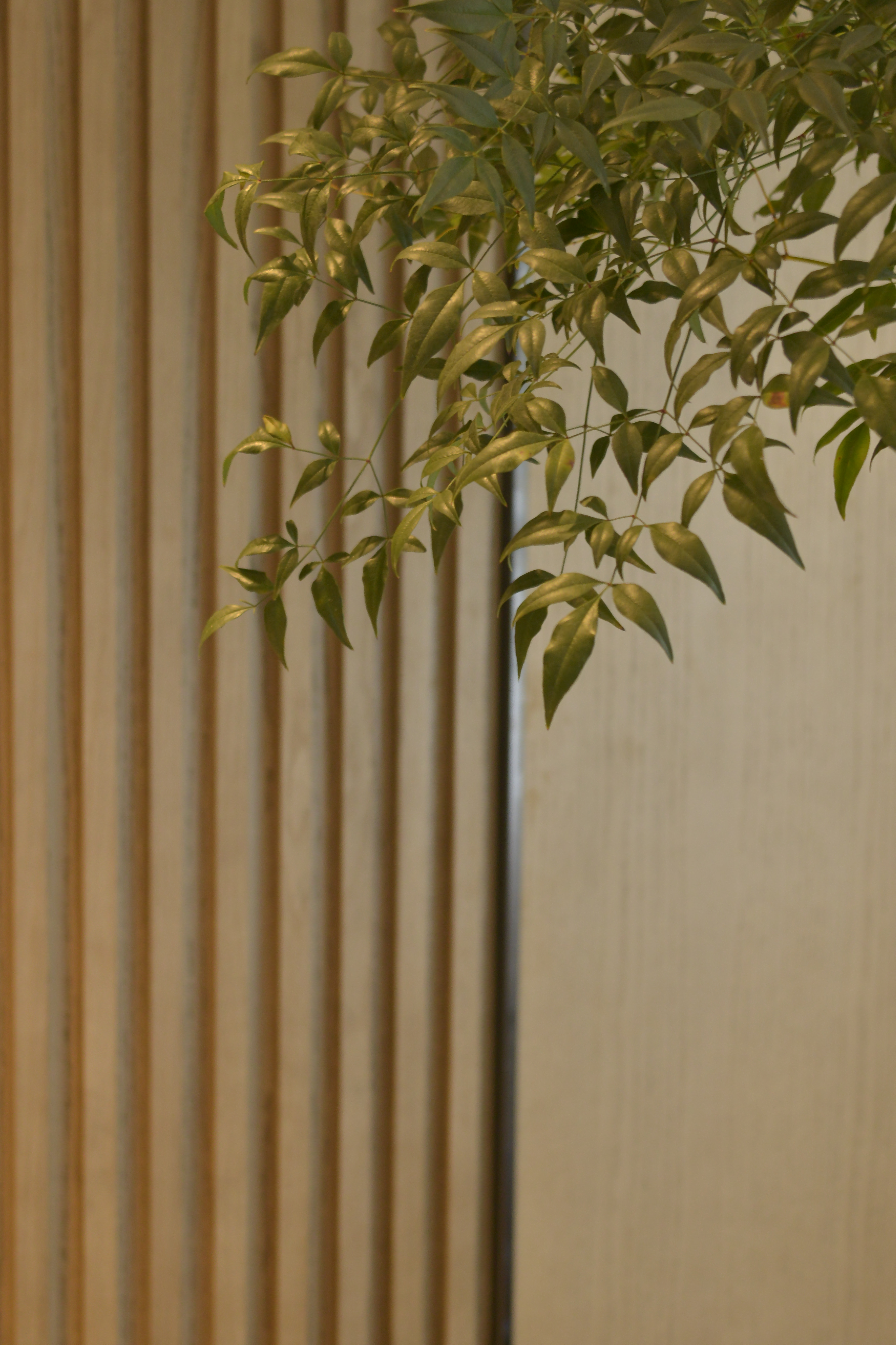 繁荣广场一期丨中国厦门丨DAA 成象装饰设计-14