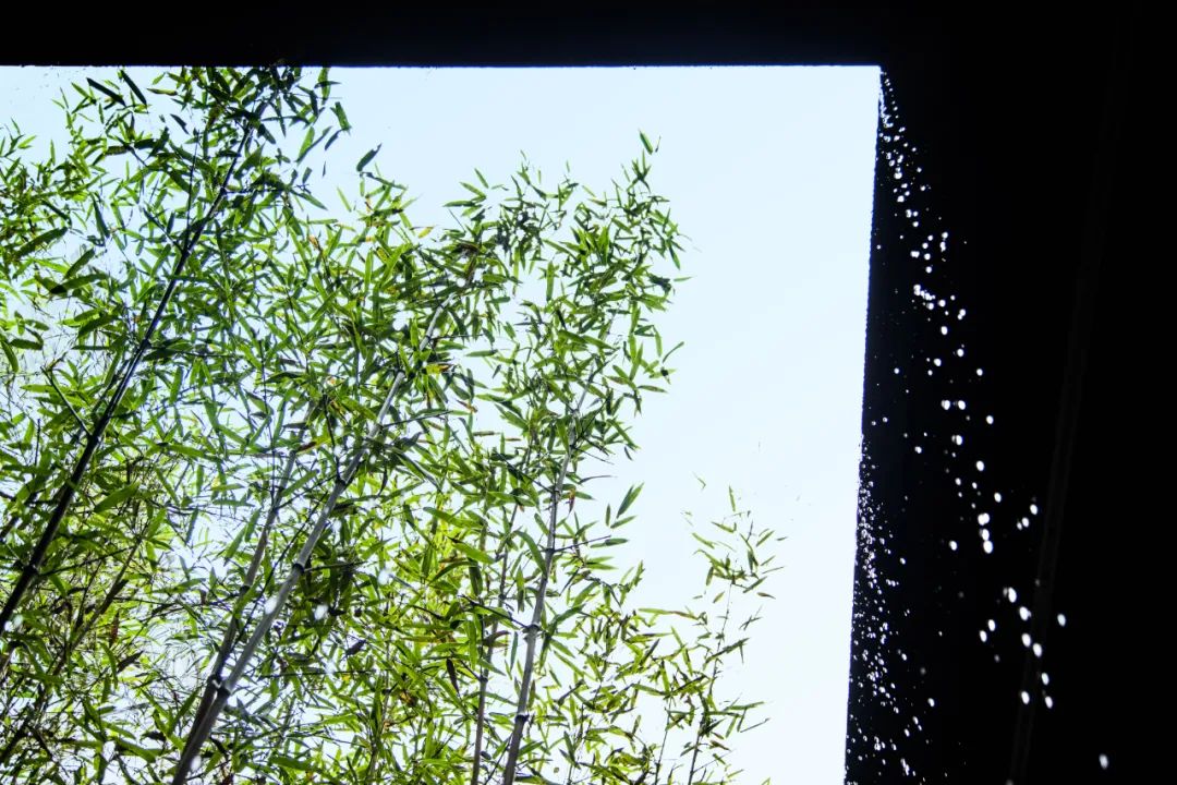 黄山愿景酒店 | 墨瓦白墙的静谧之美-47