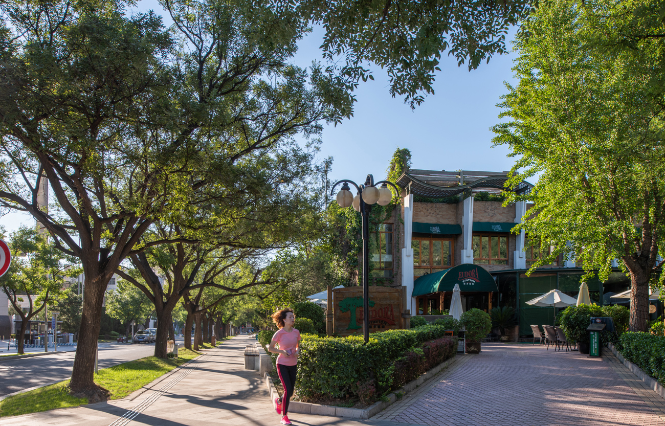丽都花园北路街道-15