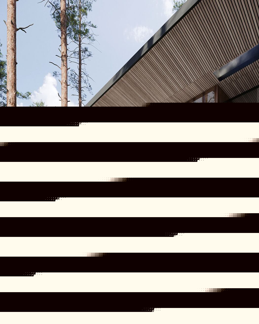 俄罗斯 Repino 别墅丨Kerimov Architects-7