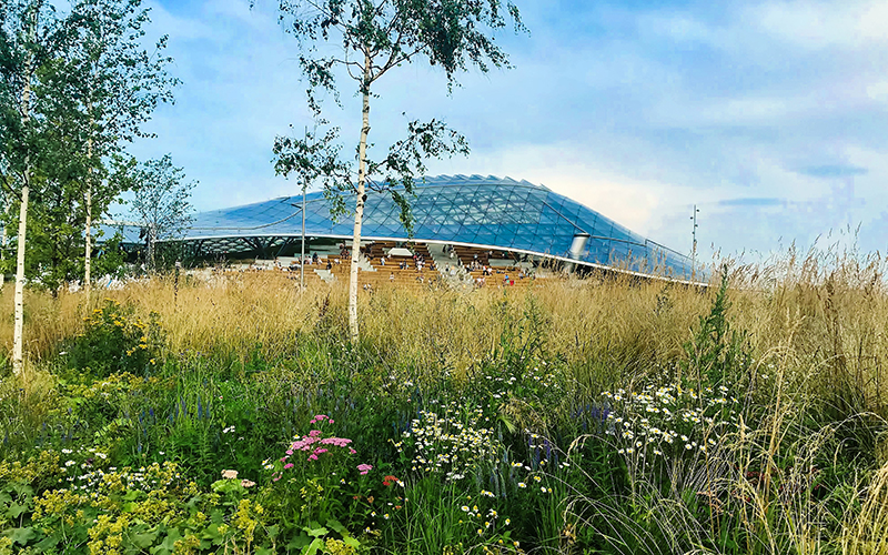 
	Interview with Mary Margaret Jones | asla.org
-5