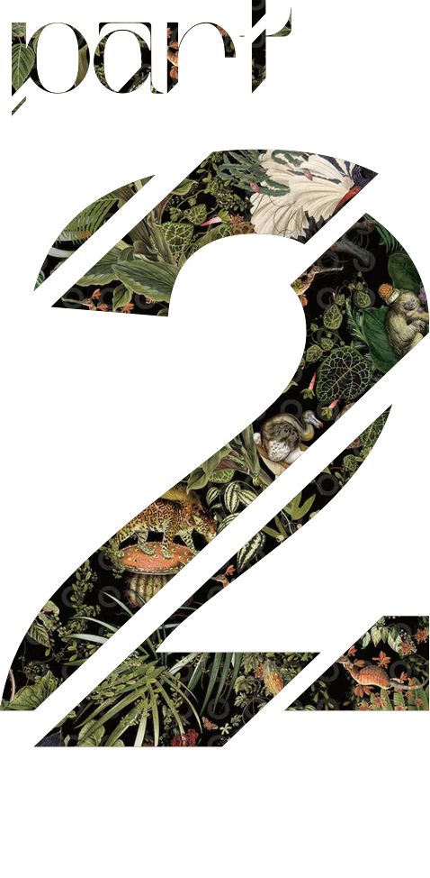 众典设计｜自然、艺术、生命力，栖于「精神容器」-24