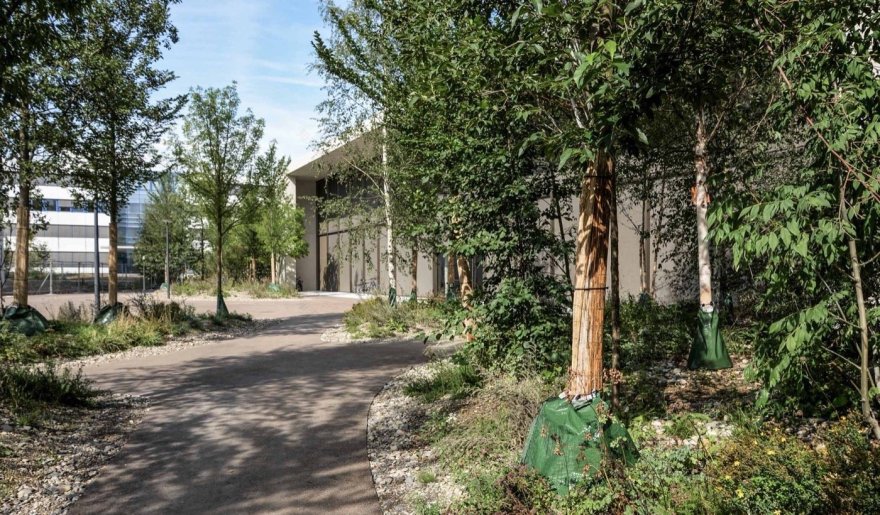 瑞士中央公园罗氏校园丨Bryum-22