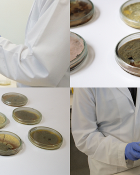 ARQT 3336 机器人制造与生物材料工具深化单元